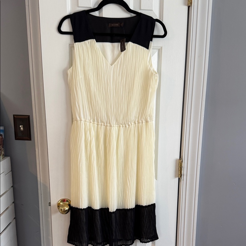 NWT The Limited Size Medium Elegant Black and Cream Women's Dress